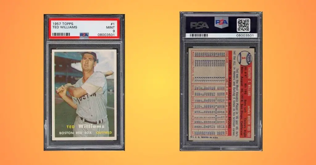 Ted Williams baseball card